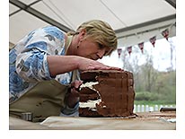 THE GREAT BRITISH BAKING SHOW: Cake (image)