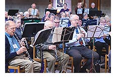 MUSIC FOR LIFE ORCHESTRA (image)
