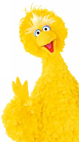 Big Bird, Our Feathered Friend