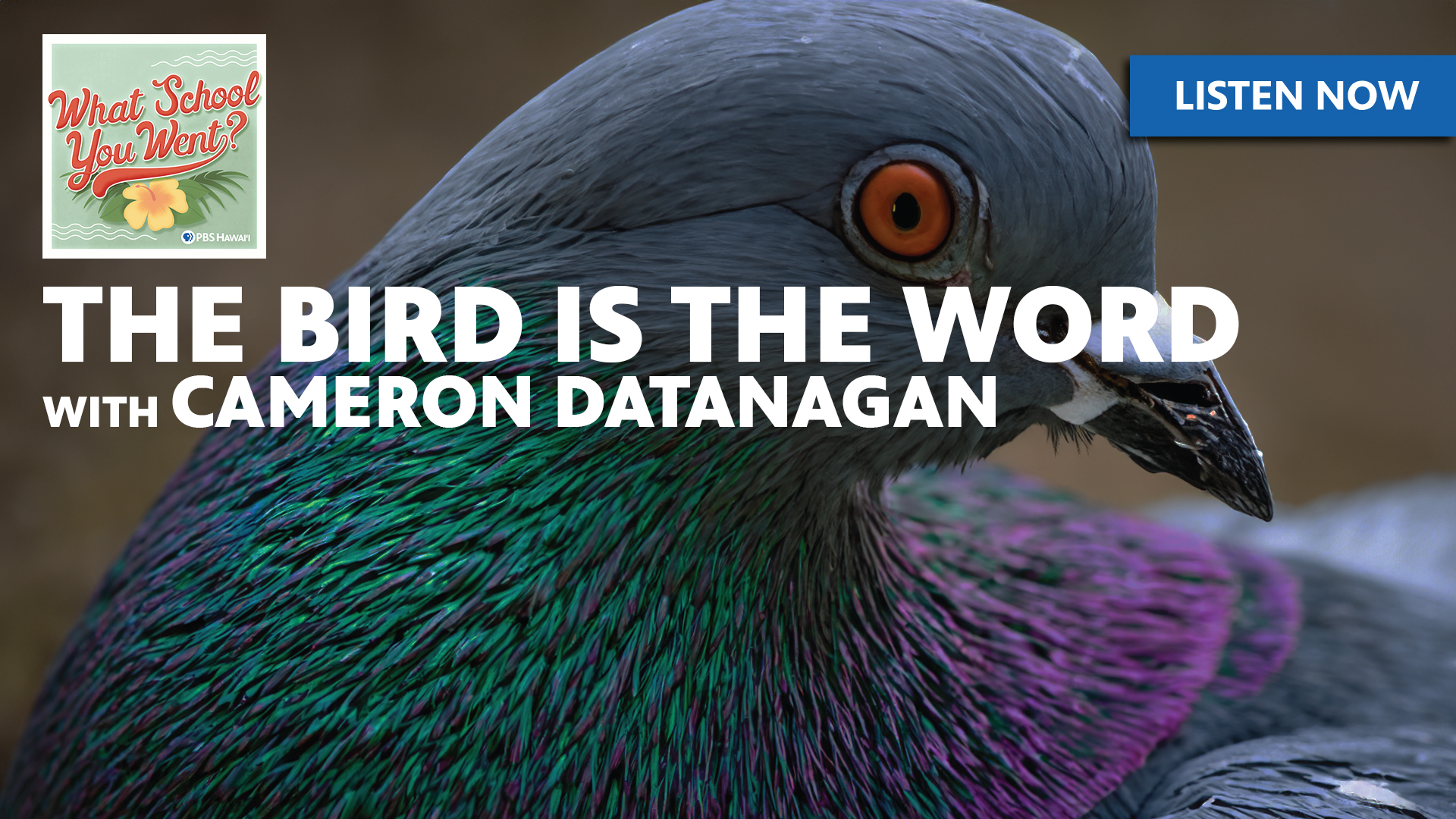The Bird is the Word <br/>with Cameron Datanagan