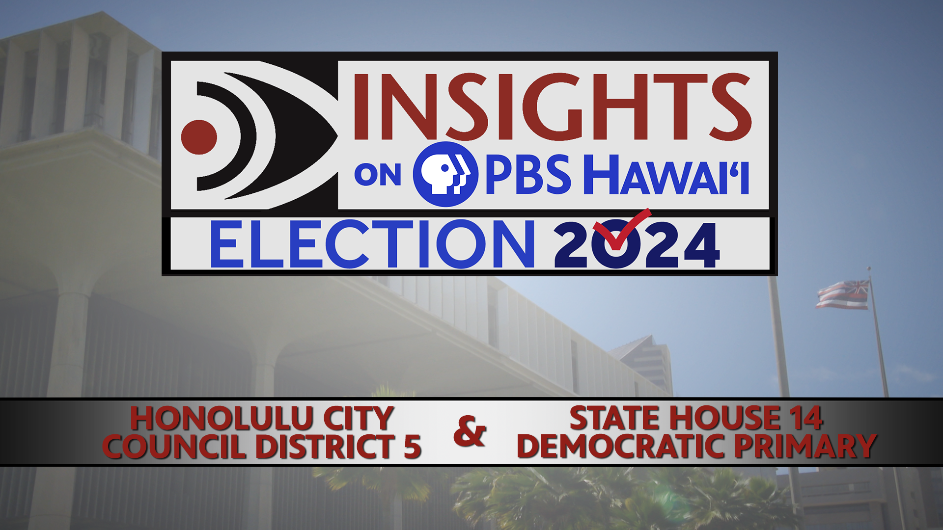Honolulu City Council District 5 &#038; State House 14 Democratic Primary