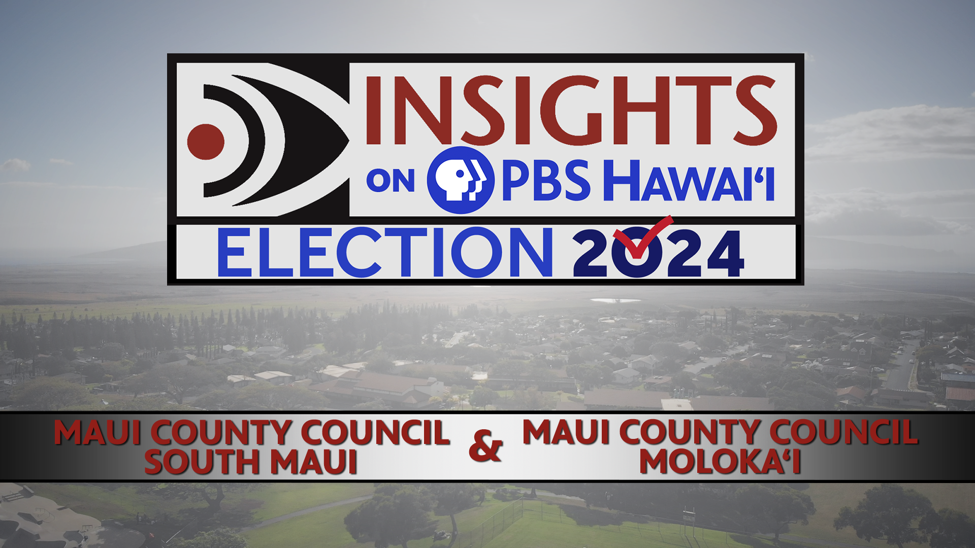 Maui County Council: South Maui and Molokaʻi Seats