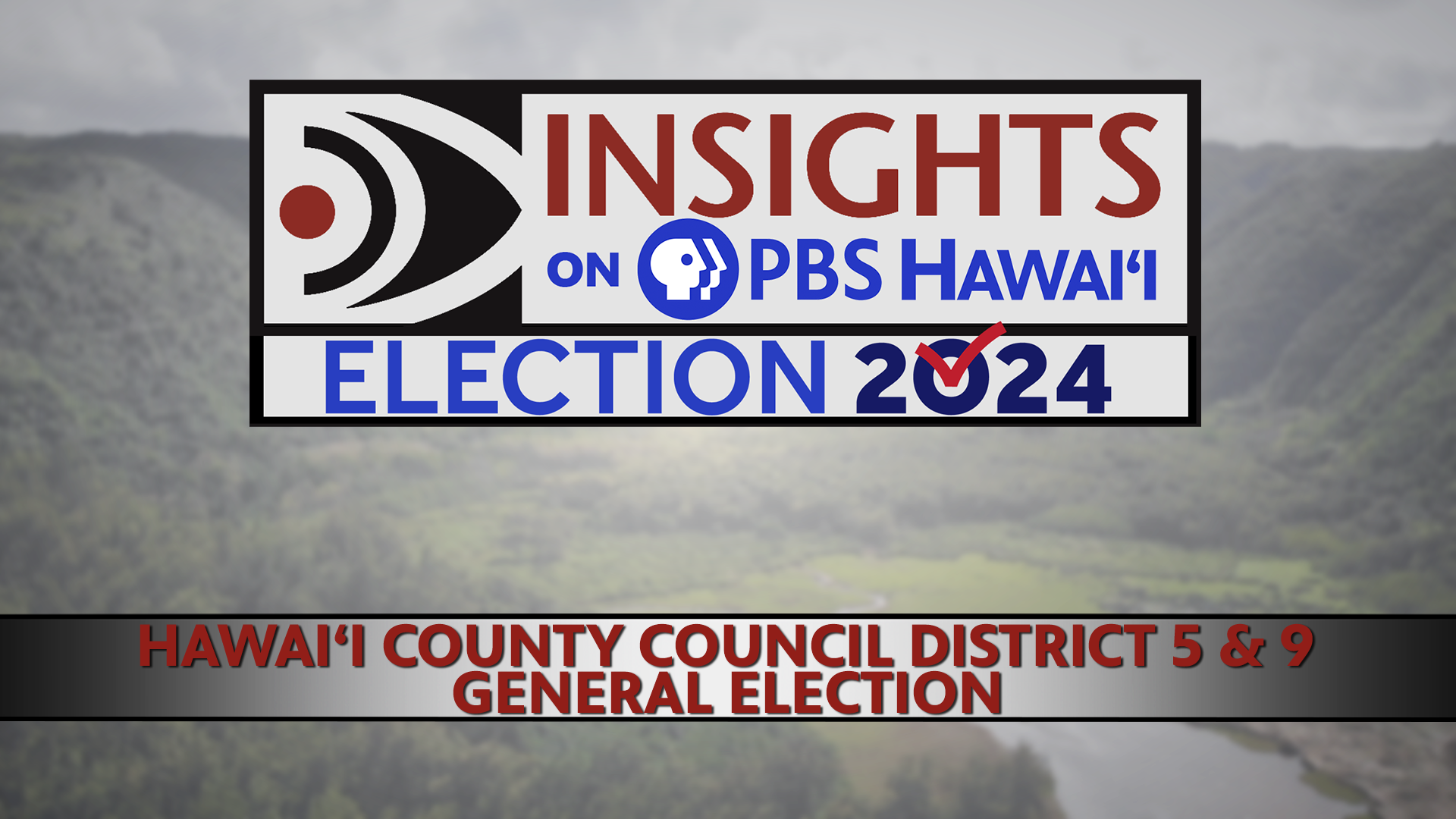 Hawaii County Council &#8211; District 5 and District 9