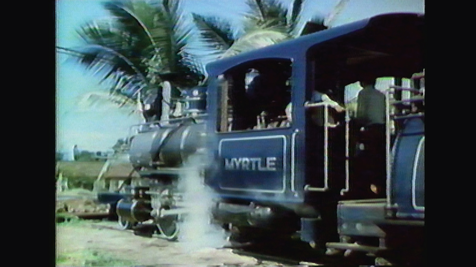 Sugar Cane Train